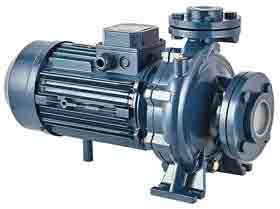 Насос Purity PSTC 65-125/75 купить с доставкой по РФ
