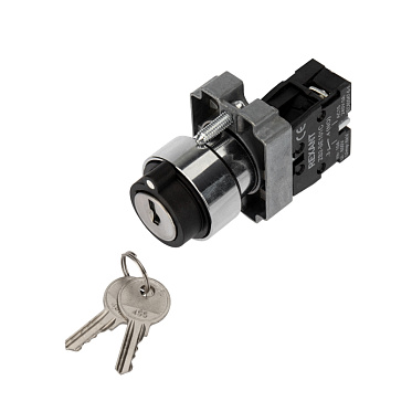 Переключатель Rexant BD21 2P с замком NO