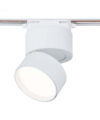 Трековый светодиодный светильник ST Luce ST651.546.09