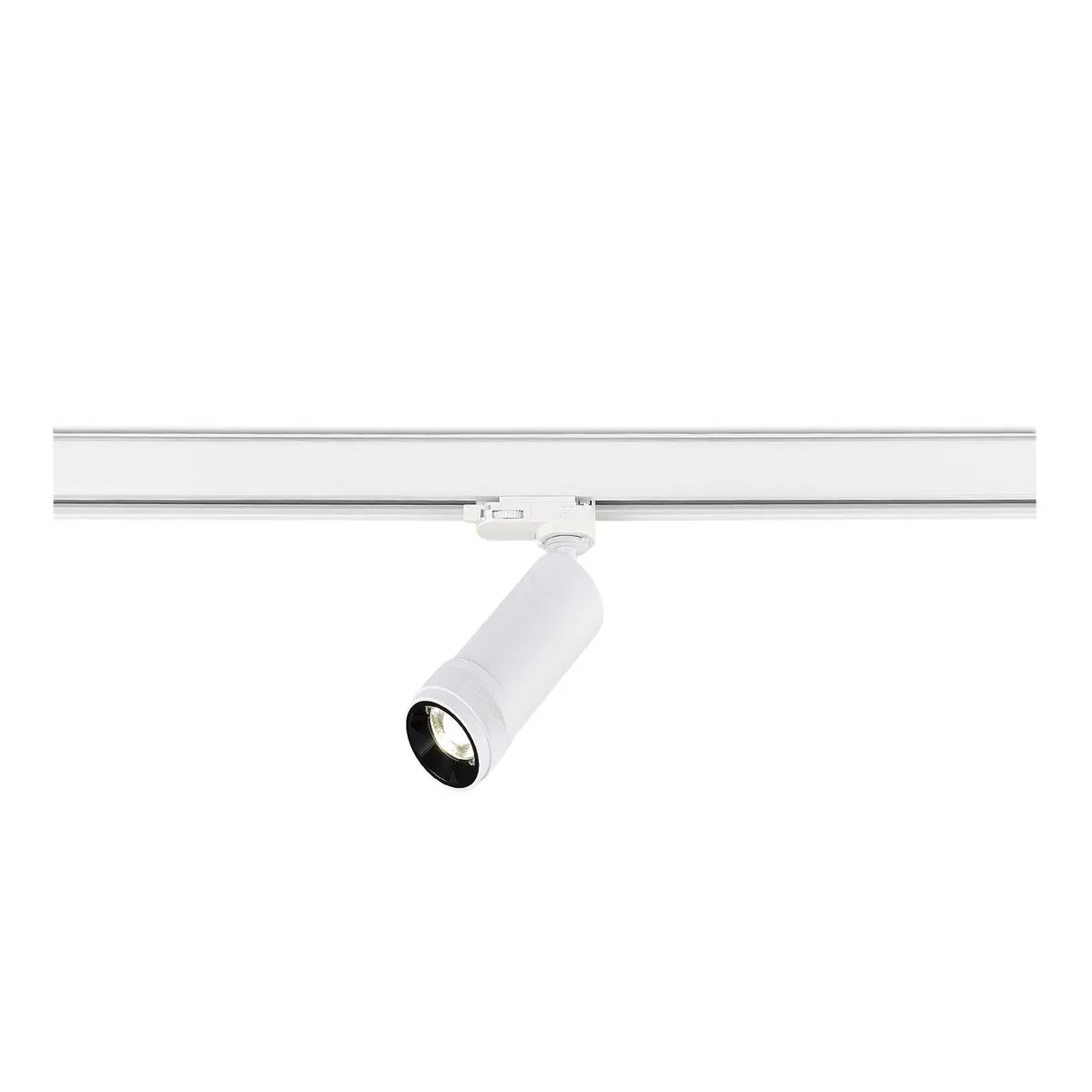Трековый светодиодный светильник ST Luce ST691 536 10