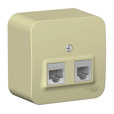 Розетка открытой установки Systeme Electric BLANCA двойная, компьютерная RJ45, кат.5E + телефонная RJ11, с изолирующей пластиной, белый, бежевый купить с доставкой по РФ