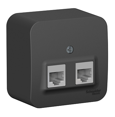 Розетка компьютерная 2-м ОП Systeme Electric Blanca RJ45 кат.5E с изолирующая пластиной антрацит