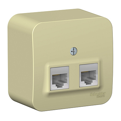 Розетка компьютерная 2-м ОП Systeme Electric Blanca RJ45 кат.5E с изолирующая пластиной бежевый купить с доставкой по РФ