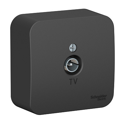 Розетка телевизионная TV ОП Systeme Electric Blanca коннектор с изолирующей пластиной антрацит