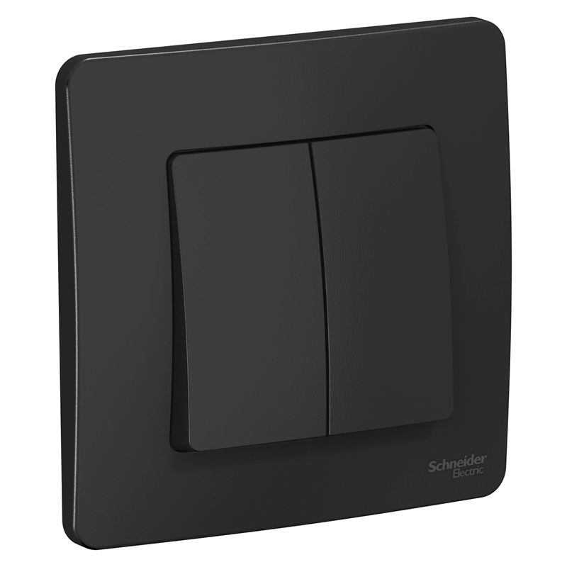 Выключатель Systeme Electric BLANCA скрытой установки двухклавишный выключатель (cх.5), 10A, 250B, антрацит купить с доставкой по РФ