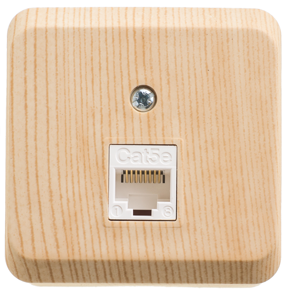 Розетка для открытой установки компьютерная Systeme Electric ЭТЮД RJ45 категория 5E сосна