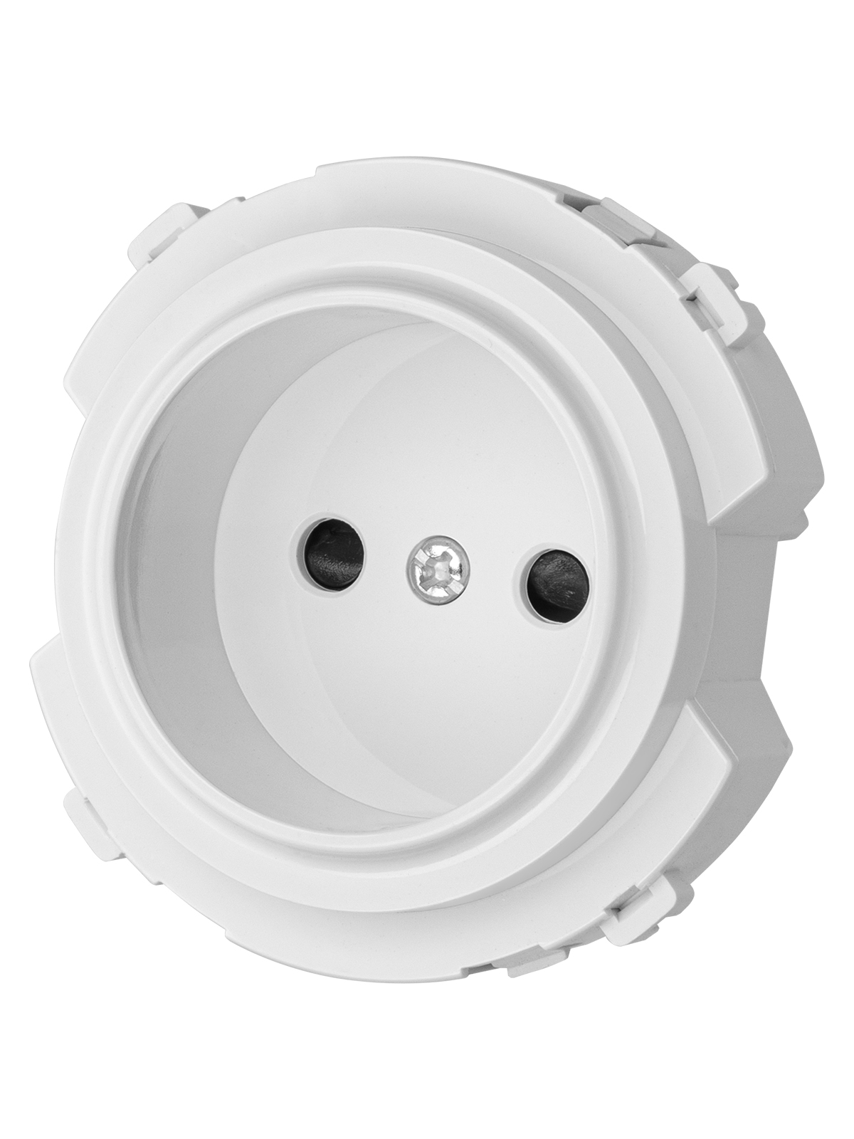 Розетка TDM ELECTRIC Байкал 2П 16А 250В с защ. шт. белая