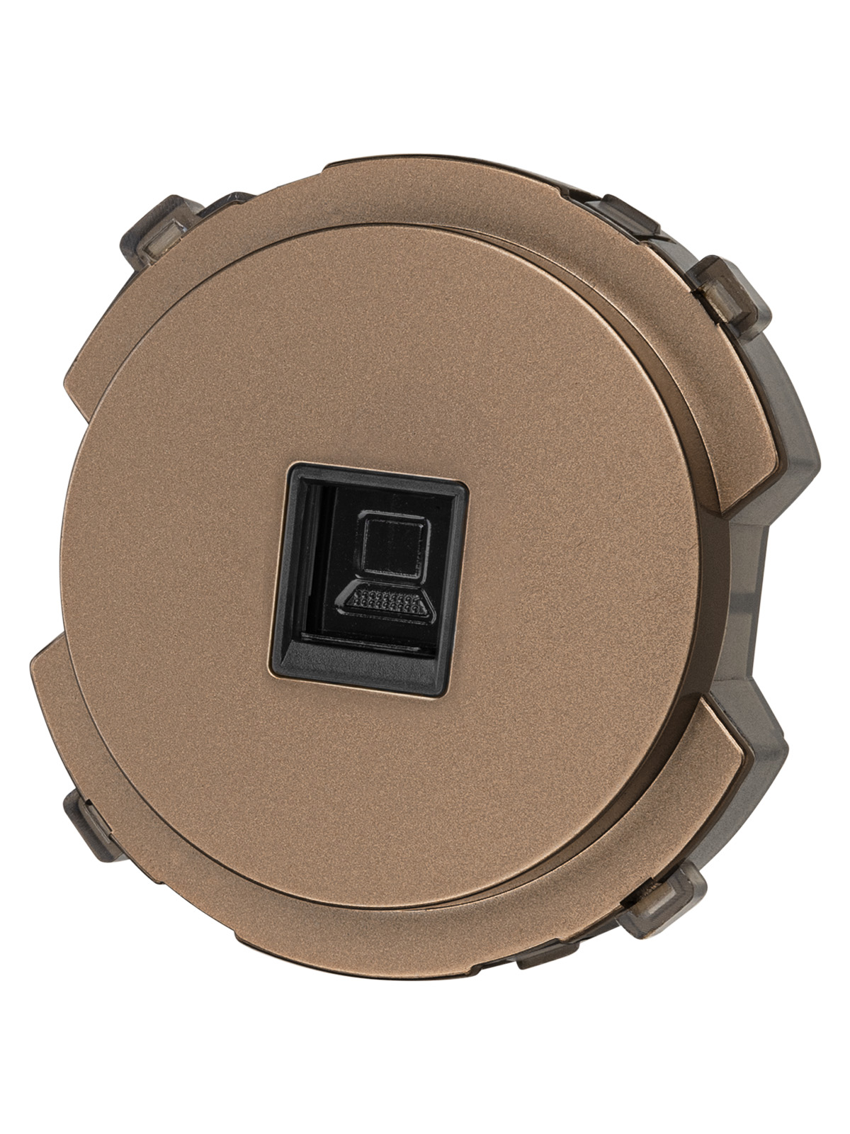 Розетка TDM ELECTRIC Байкал компьютерная RJ45 бронза