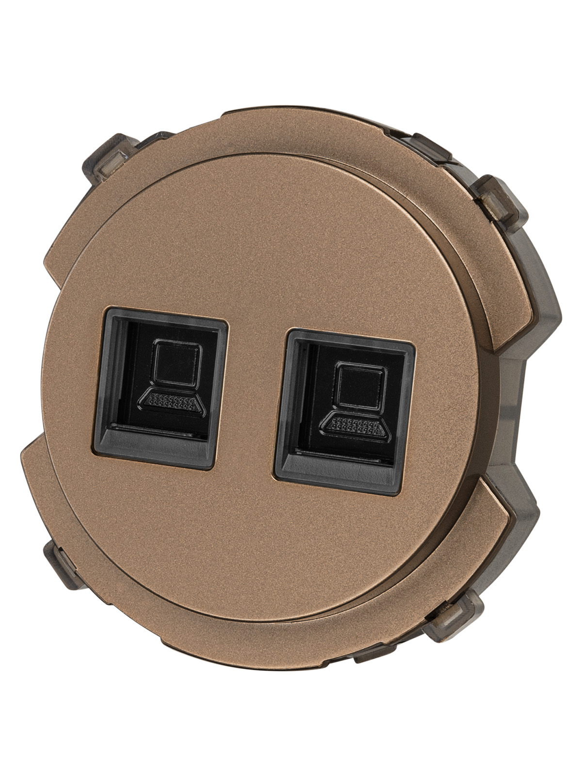 Розетка TDM ELECTRIC Байкал компьютерная двойная RJ45 бронза