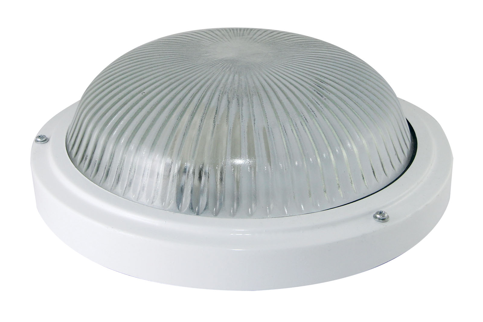 Светильник TDM ELECTRIC НПП 03-100-002 (металл, стекло) IP65