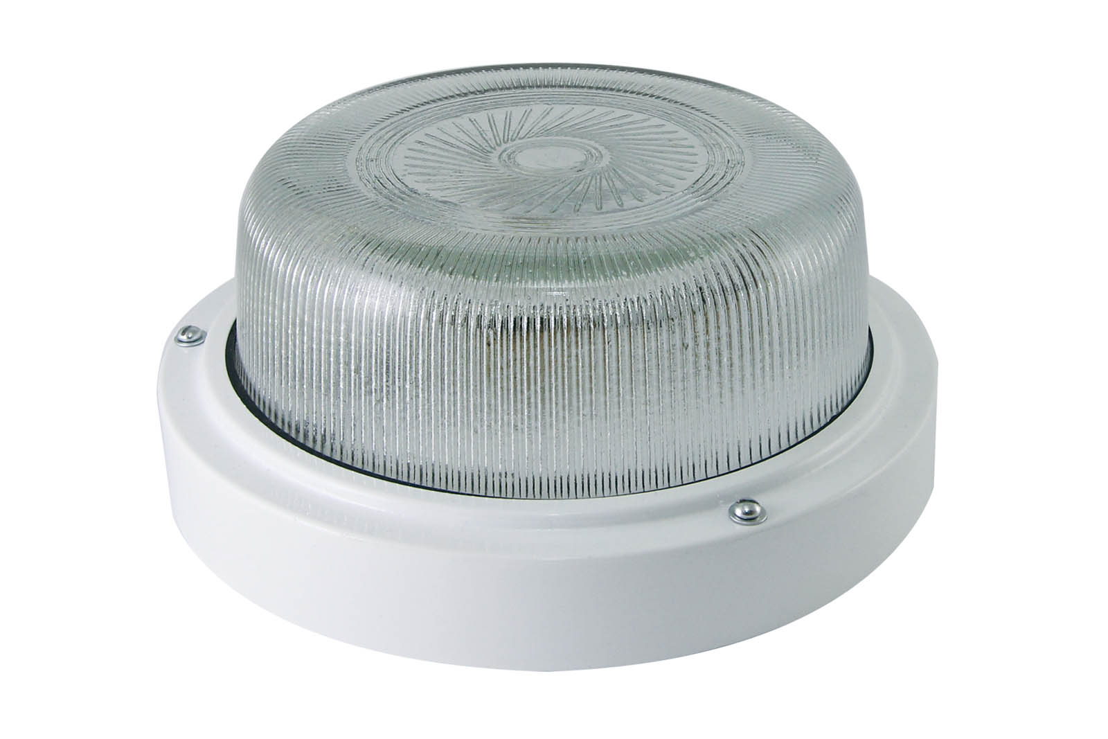 Светильник TDM ELECTRIC НПП 03-100-003 (металл, стекло) IP65