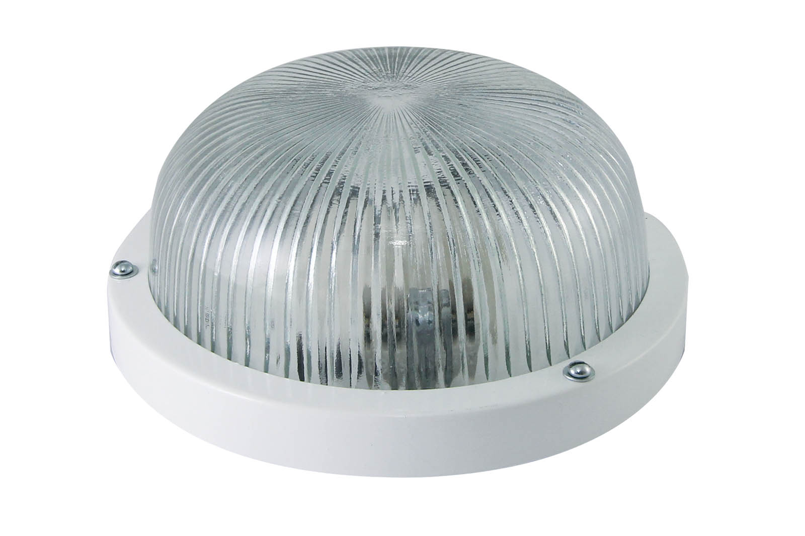 Светильник TDM ELECTRIC НПП 03-60-001 (металл, стекло прозр.) IP65