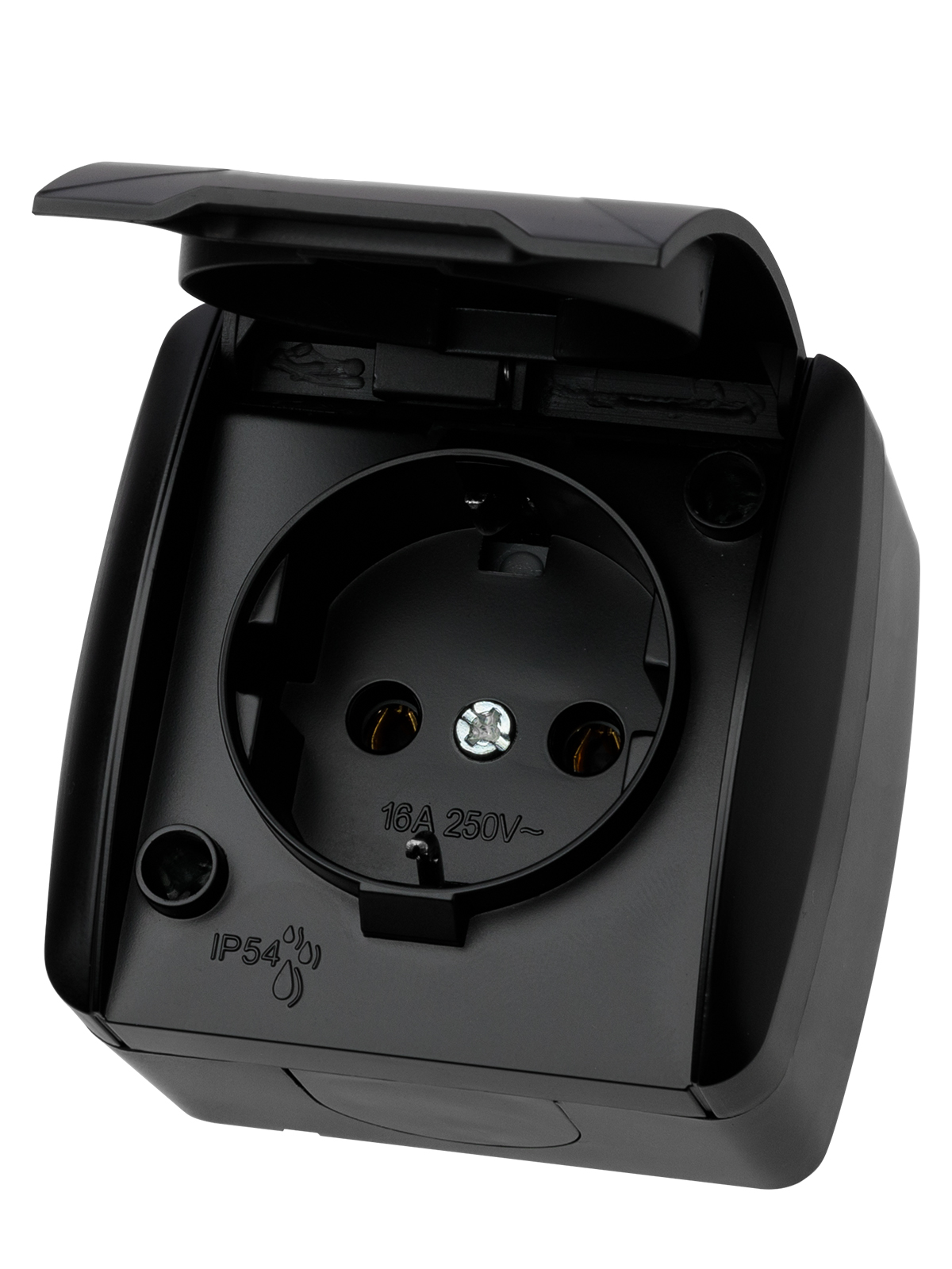 Розетка TDM ELECTRIC Селигер 2П+З открытой установки IP54 16А с крышкой графит купить с доставкой по РФ