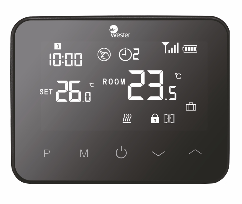Термостат электронный программируемый Wester RT20P купить с доставкой по РФ