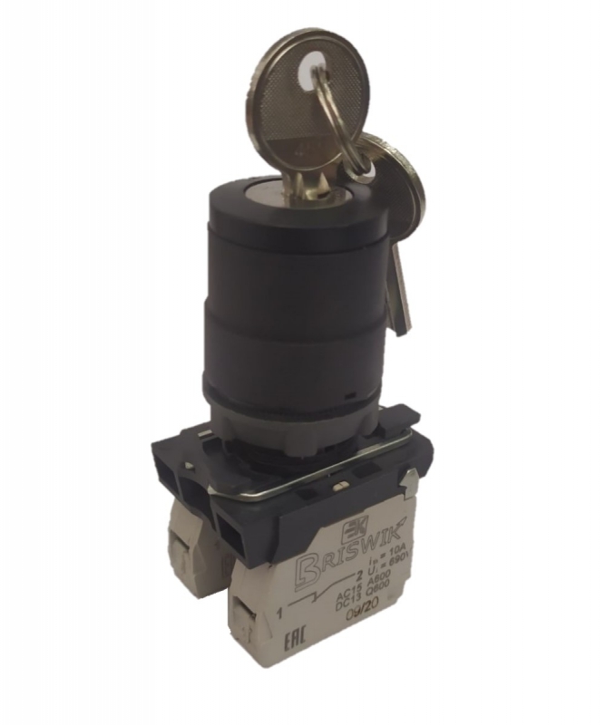 Переключатель Briswik КПЕ 4702 -К черный IP66 УХЛ2 10А 0но+2нз купить с доставкой по РФ