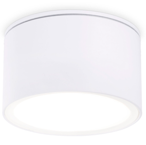Потолочный светильник Ambrella light Techno Spot IP Protect TN6522