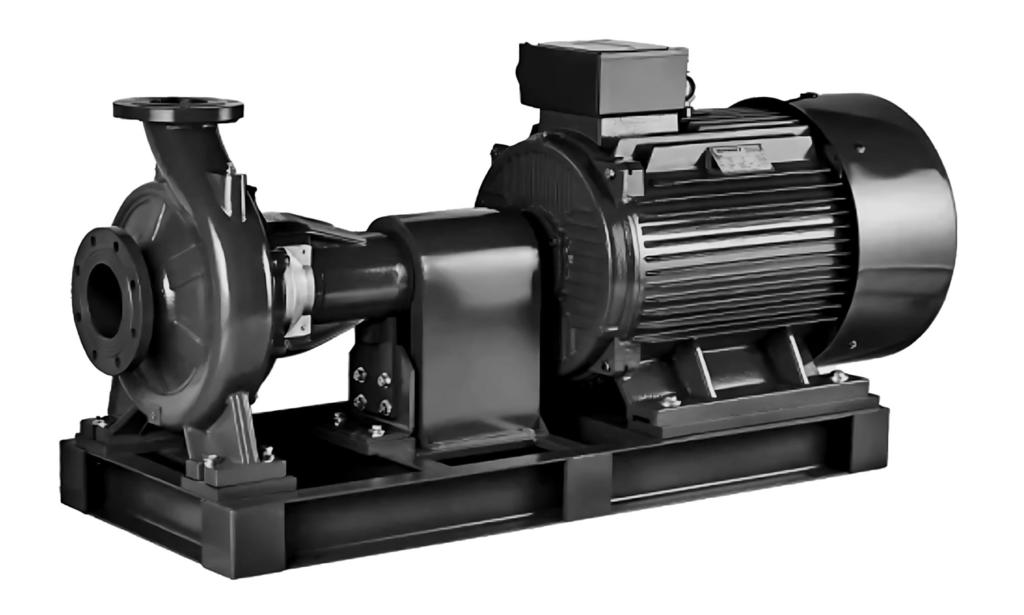 Консольный насос Wellmix NKW 65-50-160-7,5/2-380-G-BQQE купить с доставкой по РФ