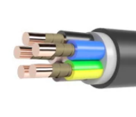 Кабель(провод) ВВГнг(А)-FRLS 5х2.5 (ок) - 1