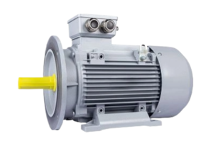 Эл.двигатель ESQ PR 160 MB2-SDN-Б1-S12-IE3 15/3000 IM B3