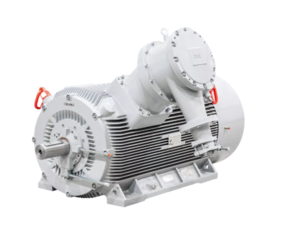 Эл.двигатель ESQ M 400-GST 6.0-315/1500 IP55 (SG) / IM 1001