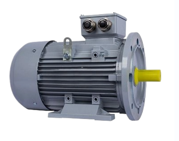 Двигатель для насоса ESQ 112 MA6-SDN-Б1-S12-IE3 IM B35 2.2/1000 Китай (ESQ PR) купить с доставкой по РФ