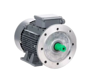 Двигатель для насоса ESQ Эл.двигатель ESQ TR 160 MB2-SDN-Б1-IE2 15/3000 IM B35