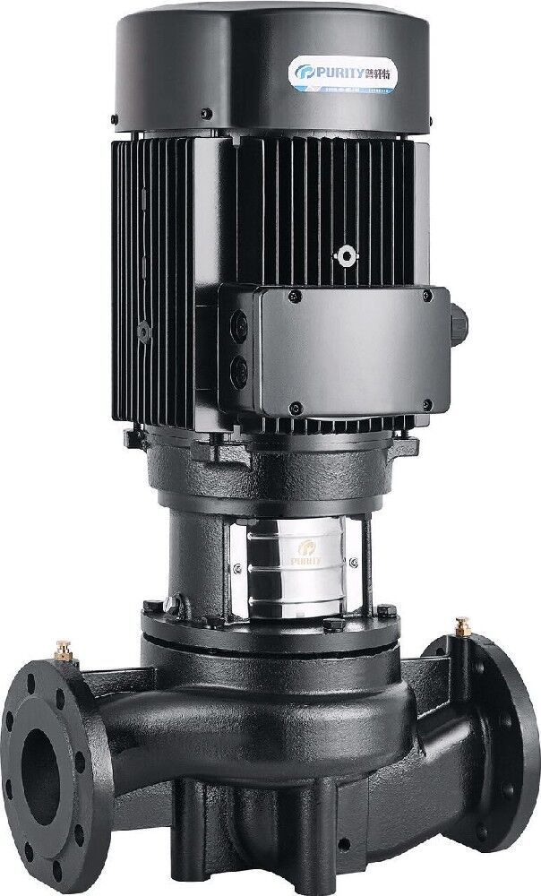 Насос Purity PTD200-12.5/4 купить с доставкой по РФ