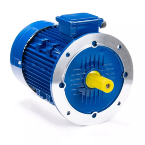 Электродвигатель ESQ 112 M4-SDN- 4/1500 IM B5 01 05 220132