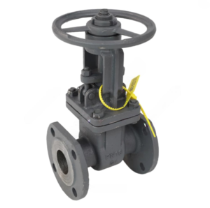 Задвижка Сантехкомплект 30с41нж Ду250 Ру16 фл BRDHSB 6