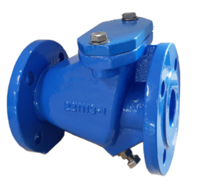 Обратный клапан чугунный Tecofi CBI4248-NI0450