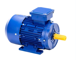 Электродвигатель 5АИ 112 М2 GU 7.6/3000 IM 2081