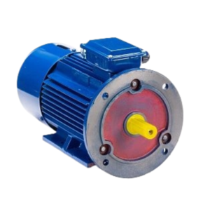 Электродвигатель 5АИ 100 L8 ET IM 2081 1.5/750 Китай (5АИ)