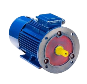 Электродвигатель 5АИ 100 L4 ED IM 2081 4/1500 (5АИ)