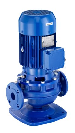 Насос вертикальный "Ин-Лайн" Lowara LNEE 65-200/110/P25VCS4 купить с доставкой по РФ