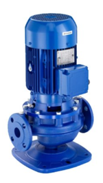 Насос вертикальный "Ин-Лайн" Lowara LNEE 65-200/110/P25VCS4 купить с доставкой по РФ