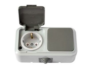 Комбинированное устройство BYLECTRICA пралеска аква 1кл. + розетка б/з IP54 серый