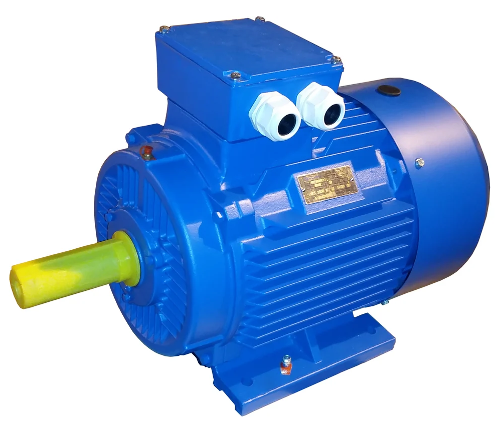 Электродвигатель ЭМШ АИР250М6У1 55кВт 380/660В, IMB3 (1081), IP55, 436кг купить с доставкой по РФ