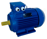 Электродвигатель ЭМШ АИР100L8У1 1,5кВт 220/380В, IMB3 (1081), IP55, 26,5кг купить с доставкой по РФ