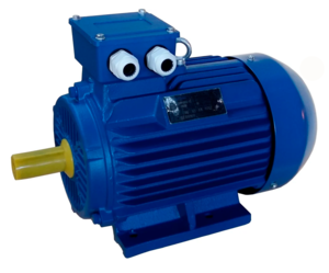 Электродвигатель ЭМШ АИР100L8У1 1,5кВт 220/380В, IMB3 (1081), IP55, 26,5кг
