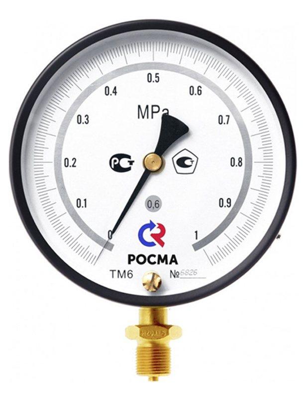   Манометр Росма ТМ-610РМТИ.00(0-2,5MPa)M20x1,5.0,6 купить с доставкой по РФ