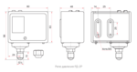 Реле давления Росма РД-2Р 1-10бар G1/4" IP44 110C заказать со складов по всей России