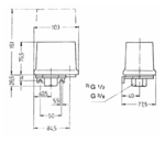 Реле давления Grundfos FF 4- 4 0,22-4,0bar G3/8 заказать со складов по всей России
