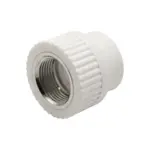 Муфта комб. вн 25х3/4'' EVER® plast белый купить с доставкой по РФ