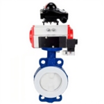 Затвор DN.ru WBV3434Pf-2W-Fb-R Ду250 Ру16 корпус - углеродистая сталь WCB, диск - углеродистая сталь WCB, футерованный PTFE, уплотнение - PTFE, с DN.ru PA-DA-130, 4М310-08 220В NAMUR и APL-210N купить с доставкой по РФ