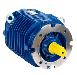 Электродвигатель ESQ 53-12 Б1-S3-Н-VFD IM 3001 1.6/500 (5ARM)