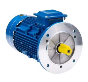 Электродвигатель ESQ 100 LA4-SDN-Б1-S12-IE2 IM B5 2.2/1500 PR