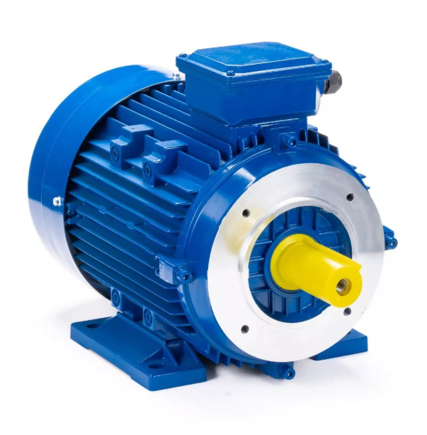 Эл.двигатель ESQ 100 LB8-SDN- 1.1/750 IM B34 купить с доставкой по РФ