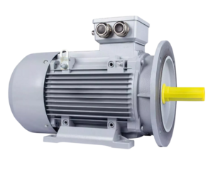 Эл.двигатель ESQ PR 180 M4-SDN-Б1-S12-IE3 18.5/1500 IM B35