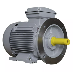 Электродвигатель ESQ 160 MA2-SDN-Б1-S12-IE3 IM B35 11/3000 PR