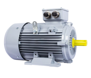 Электродвигатель ESQ 112 M4-SDN-Б1-S12-IE2 IM B3 4/1500 PR